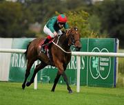 3 September 2011; Below Zero, with Fran Berry up, on the way to winning The www.thetote.com September Handicap. Horse Racing at Leopardstown, Leopardstown Race Course, Dublin. Picture credit: Ray McManus / SPORTSFILE