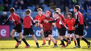 25 March 2017; Action from the Bank of Ireland Minis game at half-time featuring St Brigid's RFC and New Ross RFC during the Guinness PRO12 Round 18 game between Leinster and Cardiff Blues at RDS Arena in Ballsbridge, Dublin. Photo by Stephen McCarthy/Sportsfile