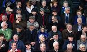 26 March 2017; Supporters watch on prior to the Allianz Football League Division 1 Round 6 match between Cavan and Kerry at Kingspan Breffni Park in Cavan. Photo by Stephen McCarthy/Sportsfile