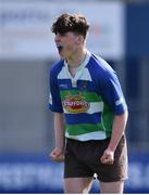 26 March 2017; Joe Naughon of Gorey celebrates at the final whistle of the Leinster Under 18 Youth Division 1 Final between Gorey and Tullow at Donnybrook Stadium in Dublin. Photo by Ramsey Cardy/Sportsfile