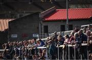 26 March 2017; Supporters watch on during the Allianz Football League Division 2 Round 6 match between Down and Galway at Páirc Esler in Newry. Photo by David Fitzgerald/Sportsfile
