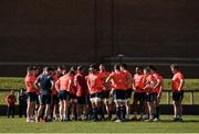 27 March 2017; Munster players with defence coach Jacques Nienaber during squad training at the University of Limerick in Limerick. Photo by Diarmuid Greene/Sportsfile