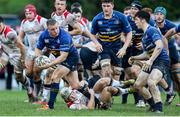 31 March 2017; Sean Cronin of Leinster A during the Interprovincial Challenge Fixture match between Ulster A and Leinster A at Banbridge RFC, in Bandbridge Co Down. Photo by John Dickson/Sportsfile