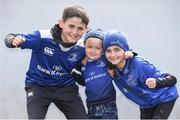 1 April 2017; Leinster supporters, from left, Conán Lennon, age 11, Bradán Lennon, age 3, and Rionach Lennon, age 10, from Maynooth, Co Kildare,ahead of the European Rugby Champions Cup Quarter-Final match between Leinster and Wasps at Aviva Stadium, in Lansdowne Road, Dublin. Photo by Cody Glenn/Sportsfile
