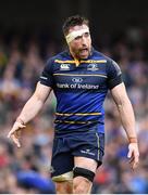 1 April 2017; Jack Conan of Leinster during the European Rugby Champions Cup Quarter-Final match between Leinster and Wasps at Aviva Stadium in Dublin. Photo by Ramsey Cardy/Sportsfile