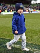 1 April 2017; Luca Sexton, age 2, son of Leinster's Jonathan Sexton on the pitch following the European Rugby Champions Cup Quarter-Final match between Leinster and Wasps at the Aviva Stadium in Dublin. Photo by Cody Glenn/Sportsfile