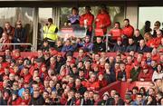 1 April 2017; Munster scrum coach Jerry Flannery,  technical coach Felix Jones, director of rugby Rassie Erasmus, performance analyst George Murray, assistant performance analyst Paul O'Brien, and Conor Murray, all watch from the stand during the European Rugby Champions Cup Quarter-Final match between Munster and Toulouse at Thomond Park in Limerick. Photo by Diarmuid Greene/Sportsfile
