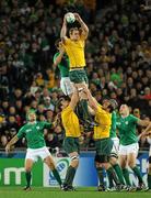 17 September 2011; Rocky Elsom, Australia, wins possession for his side in a lineout ahead of Donncha O'Callaghan, Ireland. 2011 Rugby World Cup, Pool C, Australia v Ireland, Eden Park, Auckland, New Zealand. Picture credit: Brendan Moran / SPORTSFILE