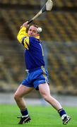 14 April 2002; Clare goalkeeper David Fitzgerald during the Allianz National Hurling League Quarter-Final match between Clare and Limerick at Semple Stadium in Thurles. Photo by Brendan Moran/Sportsfile