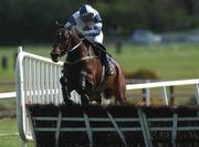 26 April 2002; Davenport Milenium, with Ruby Walsh up, jumps the last on their way to winning The Emo Oil Champion Hurdle at Punchestown Racecourse in Naas, Kildare. Photo by Aoife Rice/Sportsfile