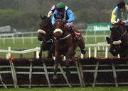 27 April 2002; Castle Kevin, with Adrian Lane up, clears the last on their way to winning the Blessington Maiden Hurdle at Punchestown Racecourse in Naas, Kildare. Photo by Damien Eagers/Sportsfile