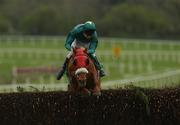 25 April 2002; Winter Garden, with Conor Dwyer up, jumps the last during The Swordlestown Cup Novice Steeplechase at Punchestown Racecourse in Naas, Kildare. Photo by Aoife Rice/Sportsfile