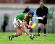 28 April 2002; Cathal Sheridan of Meath during the Guinness Leinster Senior Hurling Championship First Round match between Carlow and Meath at Dr Cullen Park in Carlow. Photo by Ray McManus/Sportsfile