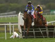 27 April 2002; The Premier Cat with Mr M.A Cahill up clears the last first time around during The RFL Steel Novice Hurdle at Punchestown Racecourse in Naas, Kildare. Photo by Damien Eagers/Sportsfile