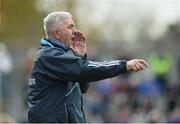 2 April 2017; Dublin manager Ger Cunningham during the Allianz Hurling League Division 1 Relegation Play-Off match between Clare and Dublin at Cusack Park in Ennis, Co Clare. Photo by Diarmuid Greene/Sportsfile