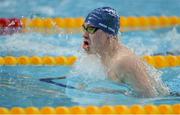 7 April 2017; Jack Angus of Ards Swim Club, Co. Down, on his way to winning the Junior Men's 100m Breaststroke Final during the 2017 Irish Open Swimming Championships at the National Aquatic Centre in Dublin. Photo by Sam Barnes/Sportsfile