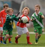 10 April 2017; A general view of the action from Sarsfields GAA, Co Kildare, versus Edenderry GAA, Co Offaly during The Go Games Provincial Days in partnership with Littlewoods Ireland -Day 1 at Croke Park in Dublin. Photo by Sam Barnes/Sportsfile
