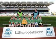 11 April 2017; Players representing Clonaslee-St Manmans GAA Club, Co Laois, during the The Go Games Provincial Days in partnership with Littlewoods Ireland Day 2 at Croke Park in Dublin. Photo by Cody Glenn/Sportsfile