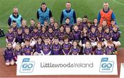 11 April 2017; Players representing Kilbeggan St Josephs GAA Club, Co Westmeath, during the The Go Games Provincial Days in partnership with Littlewoods Ireland Day 2 at Croke Park in Dublin. Photo by Cody Glenn/Sportsfile