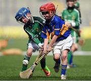 11 April 2017; Dylan Twomey, left, representing Donaghmore Ashbourne GAA club, Co. Meath, in action against Cloghey Boyne representing Clough Ballacolla GAA Club, Co. Laois during the The Go Games Provincial Days in partnership with Littlewoods Ireland Day 2 at Croke Park in Dublin. Photo by David Maher/Sportsfile