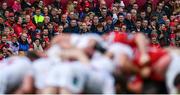 15 April 2017; Supporters look on during the Guinness PRO12 match between Munster and Ulster at Thomond Park in Limerick. Photo by Ramsey Cardy/Sportsfile