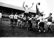 23 January 1965; Ireland's Willie John McBride wins possession for his side in the lineout against France during their opening match of the Five Nations in front an attendance of 55,000. Five Nations Championship, Ireland v France, Lansdowne Road, Dublin. Picture credit; Connolly Collection / SPORTSFILE