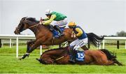 16 April 2017; Tudor City, with Davy Russell up, race ahead of Runforbob, with Sean Flanagan up, who fell over the last and did not finish, on their way to winning the Cusack Hotel Group Maiden Hurdle during the Fairyhouse Easter Festival at Fairyhouse Racecourse in Ratoath, Co Meath. Photo by Cody Glenn/Sportsfile