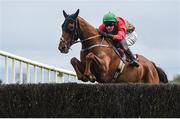 16 April 2017; Killaro Boy, with Barry Browne up, jump the last on their way to winning the Agnelli Motor Park Rated Novice Steeplechase during the Fairyhouse Easter Festival at Fairyhouse Racecourse in Ratoath, Co Meath. Photo by Cody Glenn/Sportsfile