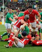 8 October 2011; Sean O'Brien, Ireland, is held up on the try line by Shane Williams, on ground, and Danny Lydiate, Wales. Ireland v Wales, 2011 Rugby World Cup, Quarter-Final, Wellington Regional Stadium, Wellington, New Zealand. Picture credit: Brendan Moran / SPORTSFILE
