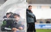 17 April 2017; Limerick FC interim manager Willie Boland during the EA Sports Cup second round match between Limerick FC and Cork City at The Markets Field in Limerick. Photo by Diarmuid Greene/Sportsfile