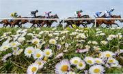 18 April 2017; A general view of the field on their first time round in the Lilly Bain Bathroom and Tiles Supporting Newry RFC Maiden Hurdle during the Fairyhouse Easter Festival at Fairyhouse Racecourse in Ratoath, Co Meath. Photo by Cody Glenn/Sportsfile