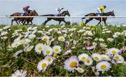 18 April 2017; A general view of the field on their first time round in the Lilly Bain Bathroom and Tiles Supporting Newry RFC Maiden Hurdle during the Fairyhouse Easter Festival at Fairyhouse Racecourse in Ratoath, Co Meath. Photo by Cody Glenn/Sportsfile