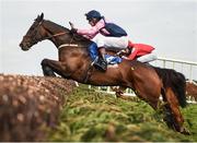 18 April 2017; Dantes King, with Roderic Kavanagh up, jumps the eighth in the BoyleSports Joseph O'Reilly Hunters Steeplechase during the Fairyhouse Easter Festival at Fairyhouse Racecourse in Ratoath, Co Meath. Photo by Seb Daly/Sportsfile