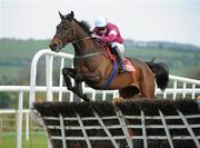 3 May 2011; Far Away So Close, with Michael Doran up, jumps the second during the Evening Herald Champion Novice Hurdle. Punchestown Irish National Hunt Festival 2011, Punchestown, Co. Kildare. Picture credit: Barry Cregg / SPORTSFILE