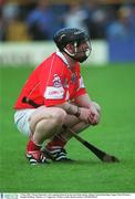5 May 2002; Wayne Sherlock, Cork captain pictured at the end of the match, Allianz National hurling League Final Division 1, Semple Stadium, Thurles, Co. Tipperary. Picture credit; Brian Lawless / SPORTSFILE