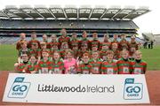 21 April 2017; Players representing Lisnaskea GAA Club, Co Fermanagh, during the Go Games Provincial Days in partnership with Littlewoods Ireland Day 7 at Croke Park in Dublin. Photo by Cody Glenn/Sportsfile