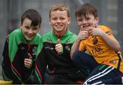 21 April 2017; Supporters during the Go Games Provincial Days in partnership with Littlewoods Ireland Day 7 at Croke Park in Dublin. Photo by Cody Glenn/Sportsfile