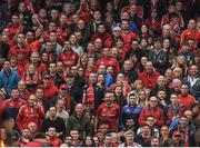 22 April 2017; Supporters make their feelings known during the European Rugby Champions Cup Semi-Final match between Munster and Saracens at the Aviva Stadium in Dublin. Photo by Brendan Moran/Sportsfile