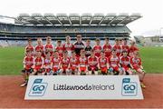 22 April 2017; Players from Derry clubs during the Go Games Provincial Days in partnership with Littlewoods Ireland Day 8 at Croke Park in Dublin. Photo by Piaras Ó Mídheach/Sportsfile