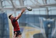 22 April 2017; Billy Holland of Munster wins possession in a lineout during the European Rugby Champions Cup Semi-Final match between Munster and Saracens at the Aviva Stadium in Dublin. Photo by Diarmuid Greene/Sportsfile