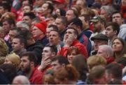 22 April 2017; Munster supporters react during the European Rugby Champions Cup Semi-Final match between Munster and Saracens at the Aviva Stadium in Dublin. Photo by Diarmuid Greene/Sportsfile