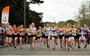 23 April 2017; A general view from the start of the Senior Women's race, during Irish Life Health National Road Relays at Raheny Village, in Dublin. Photo by Tomás Greally/Sportsfile