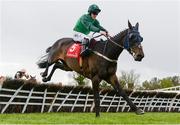 26 April 2017; C'est Jersey, with Paul Townend up, jump the last on their way to winning the Louis Fitzgerald Hotel Hurdle at Punchestown Racecourse in Naas, Co. Kildare. Photo by Seb Daly/Sportsfile