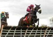 26 April 2017; Champagne Classic, with Bryan Cooper up, jump the last on their way to winning the Irish Daily Mirror Novice Hurdle at Punchestown Racecourse in Naas, Co. Kildare. Photo by Seb Daly/Sportsfile