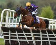 28 April 2017; Wicklow Brave, with Patrick Mullins up, jump the last on their way to winning the BETDAQ Punchestown Champion Hurdle at Punchestown Racecourse in Naas, Co. Kildare. Photo by Seb Daly/Sportsfile