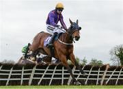 28 April 2017; Wicklow Brave, with Patrick Mullins up, jump the last on their way to winning the BETDAQ Punchestown Champion Hurdle at Punchestown Racecourse in Naas, Co. Kildare. Photo by Seb Daly/Sportsfile