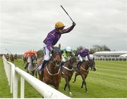 28 April 2017; Patrick Mullins, on Wicklow Brave, celebrates winning the BETDAQ Punchestown Champion Handicap at Punchestown Racecourse in Naas, Co. Kildare. Photo by Matt Browne/Sportsfile
