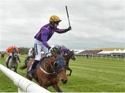28 April 2017; Patrick Mullins, on Wicklow Brave celebrates winning the BETDAQ Punchestown Champion Handicap at Punchestown Racecourse in Naas, Co. Kildare. Photo by Matt Browne/Sportsfile