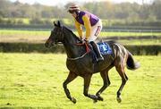 29 October 2011; Noble Prince, with Davy Russell up, canters to the start before the Ben Dunne Gyms Supporting Kildare GAA Poplar Square Steeplechase. Horse Racing, Naas, Co. Kildare. Picture credit: Pat Murphy / SPORTSFILE