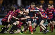 28 April 2017; Action from the Bank of Ireland Mini's game featuring Tallaght RFC ad Athboy RFC during half-time of the Guinness PRO12 Round 21 match between Leinster and Glasgow Warriors at the RDS Arena in Dublin. Photo by Stephen McCarthy/Sportsfile